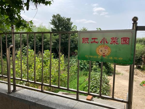 东港农商银行基层堂照片14