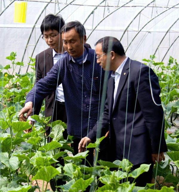 微信图片_20201112180402