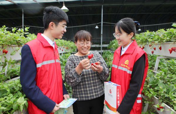 助力春耕，农商银行在行动