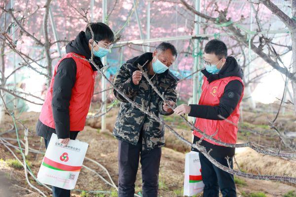 助力春耕，农商银行在行动