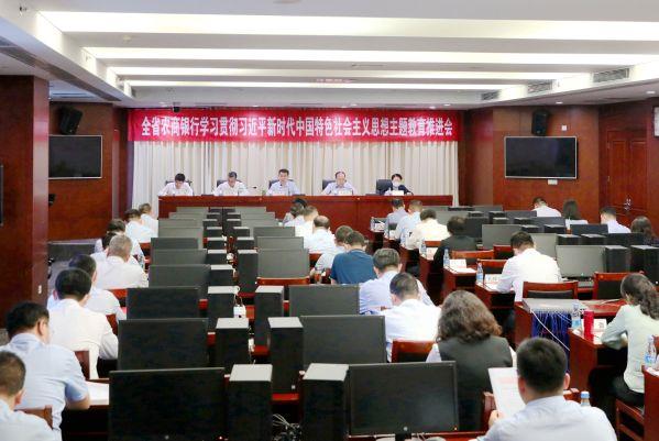 省农信联社召开全省农商银行学习贯彻习近平新时代中国特色社会主义思想主题教育推进会