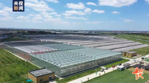 《“县”在出发》，看兰陵菜里的农商银行元素