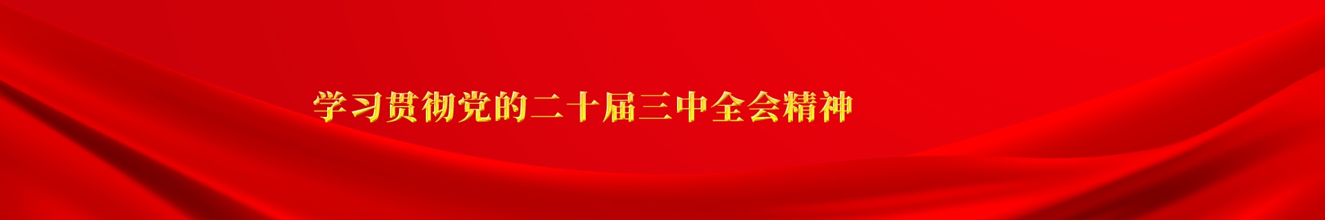 学习贯彻党的二十届三中全会精神