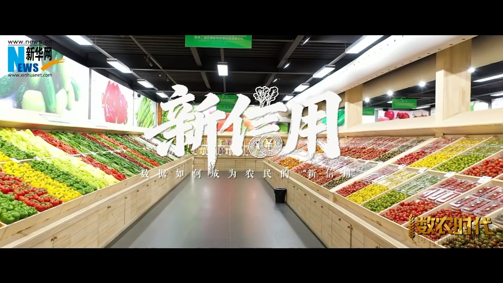 新华社：数据成了新农资，农户靠“数字信用”实现手机一点即贷