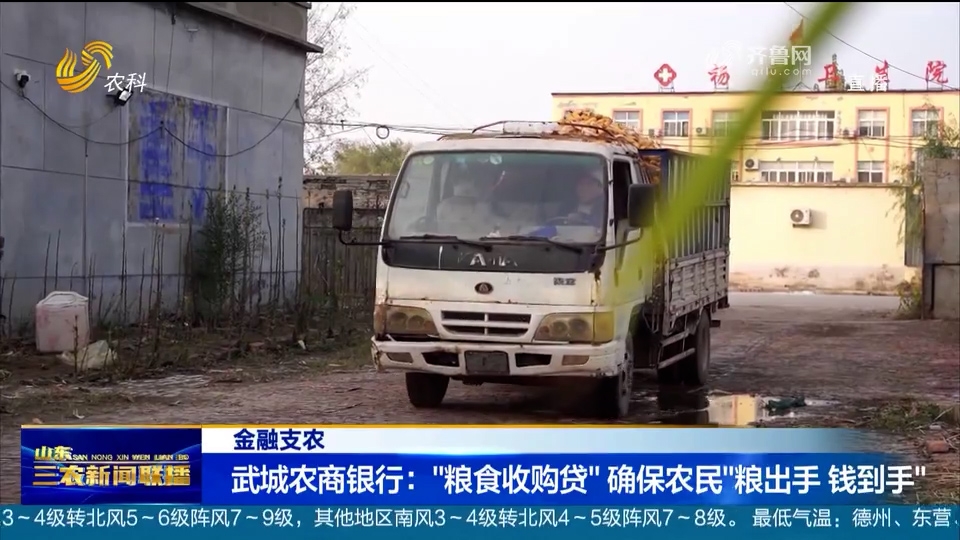 武城农商银行：“粮食收购贷” 确保农民“粮出手 钱到手”